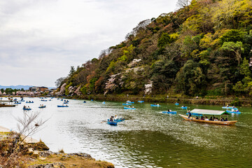 京都府　嵐山公園の桜風景