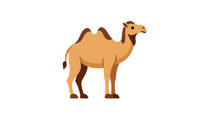 Fototapeta premium Brown camel standing alone.