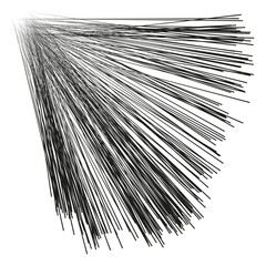 Obraz premium Black rays bundle. Spreading line pattern. Dynamic Vector motion. Professional abstract texture. Isolated object art.