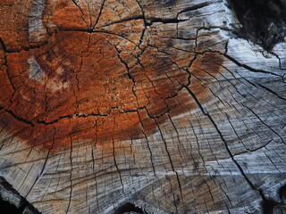 Obraz premium Weathered Wood Grain