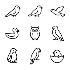 Fototapeta premium birds set of line icons vector on a white background A set of line icons on a white background