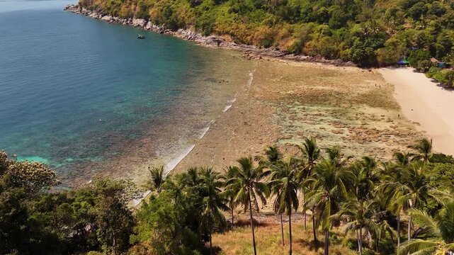 Drone view above lush palm coconut grove overlooking turquoise Andaman Sea at low tide in Phuket, Thailand. Coral reef patterns emerge through clear shallow water along tropical coastline.