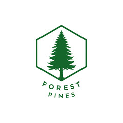 Forest Pines Logo: Evergreen Tree Inside Hexagon, Nature Emblem, Eco-friendly Brand Identity