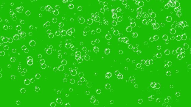 Rising air bubbles- Water bubbles rising on green screen background. Foam bubbles random animation. White champagne bubbles rising upwards. Soap bubbles floating and moving slowly in the green sky.