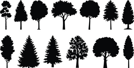 Webtree silhouette set, black and white, forest design, nature sketch, silhouette artwork, botanical illustration, tree variety, silhouette composition, 