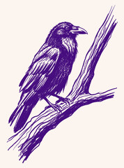 Naklejka premium A hand-drawn vector illustration of a majestic raven perched on a gnarled branch, rendered in a textured purple sketch style, ideal for design elements
