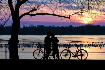 Obraz premium Biker couple silhouette during sunset at Jefferson Memorial in winter - Washington DC United States