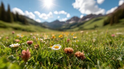 Obraz premium A stunning field of colorful wildflowers basks under the warm sunlight, surrounded by majestic mountains and a picturesque sky, embodying nature's beauty.