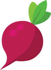 Red beetroot vector illustration with fresh root and leaves