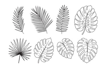 Minimalist outline tropical leaves set featuring monstera and palm fronds for modern botanical graphic design