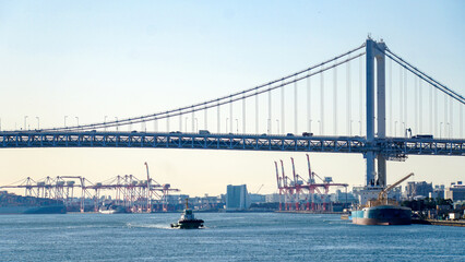 貨物船が行き交う東京湾に架かるレインボーブリッジ