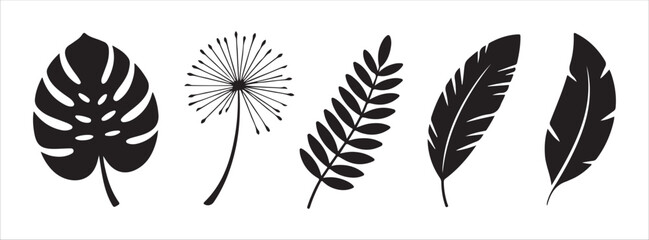 Tropical leaves vector silhouettes Monstera dandelion fern feather palm leaves set exotic flora graphics nature element © Mukti