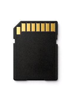 SD Memory Card Isolated on White