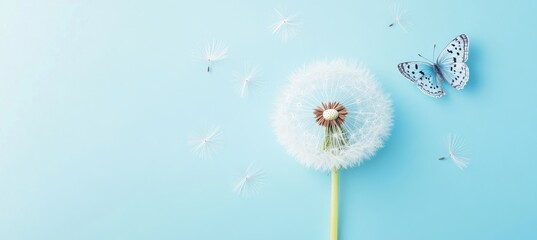 Obraz premium Dandelion seeds blowing in the wind with a butterfly