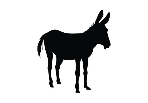 Black vector illustration of a donkey silhouette isolated on a white background featuring farm animal and wildlife mammal elements