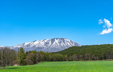 Fototapeta premium Beauty nature view, snowcapped mountain range in background, forest and green grassland in foreground with clear blue sky in springtime season sunny day morning, beauty rural natural landscape scene