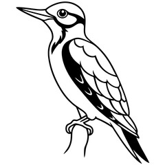 Obraz premium Woodpecker line art vector