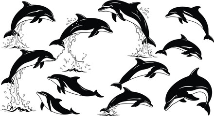 Dynamic dolphin silhouette collection jumping out of ocean water set with splashing waves isolated on white background for marine design.