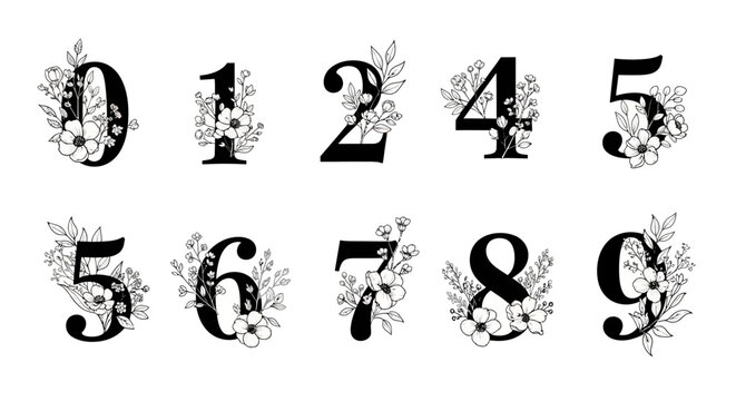 Decorative floral numbers set with black and white illustrations on a clean background