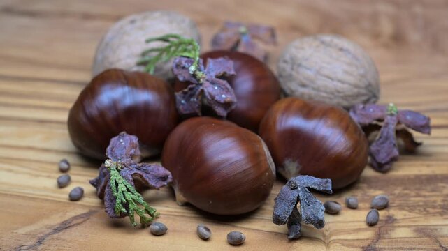 A composition of typically autumnal fruits such as walnuts and chestnuts enhancing their beauty and detail.