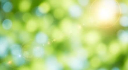 Obraz premium Sunlight filters through lush greenery in a serene forest landscape viewed from a tranquil vantage point