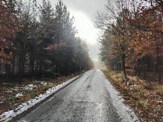 Foggy Autumn Road in Forest, Snowy Side Paths