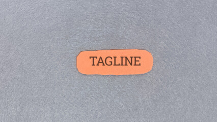 Tagline example text on an orange oval shape with a dark grey textured background representing...