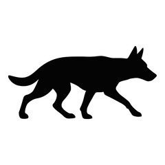 Empty White Background for Design and Photography Projects