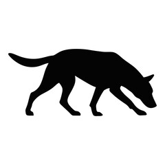 Empty White Background for Design and Photography Projects