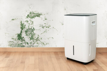 Dehumidifier near damp wall with mold and home humidity problem with copy space.