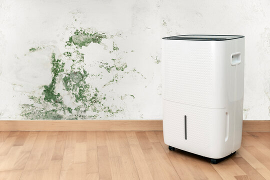 Dehumidifier near damp wall with mold and home humidity problem with copy space.