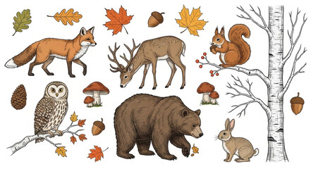 Forest Animals and Autumn Leaves Illustration. © Gogoo