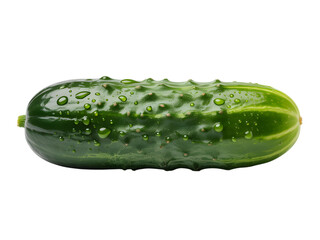 Fresh green cucumber with water droplets isolated on transparent background