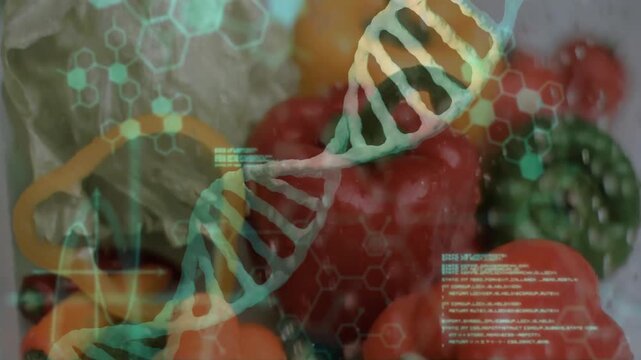 On start hexagon fading over vegetables, 3D-render helix rotating and code scrolling for science