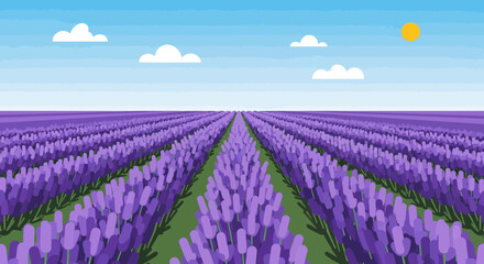 Lavender Field with Purple Flowers and Green.
