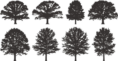 Fototapeta premium Collection of eight dark brown trees on white background