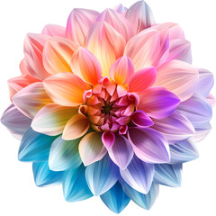 Obraz premium Close up view of vibrant abstract dahlia flower with gradient petals creating an artistic colorful visual pattern on transparent background