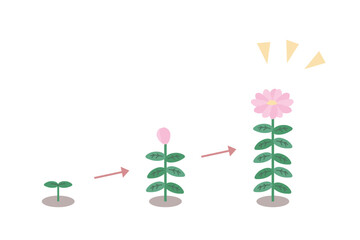 成長して開花する花