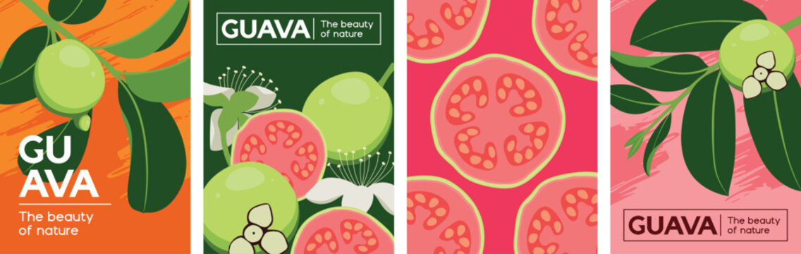 Guava vector illustration. Whole and sliced tropical fruit, with leaves and flowers, for poster, book cover, banner, background, and wallpaper.