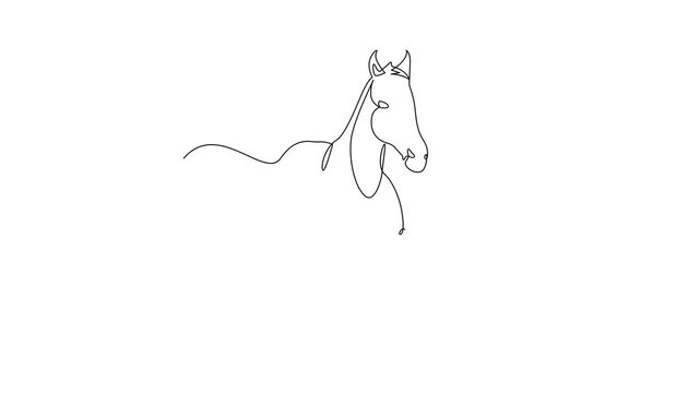 Running Horse Mammal. Mammals Concept. Single line draw design Video 4k. Footage graphic illustration