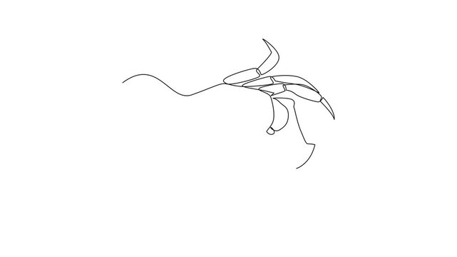 Crab Crawling On Ocean Floor. Sea Animals Concept. Single line draw design Video 4k. Footage graphic illustration