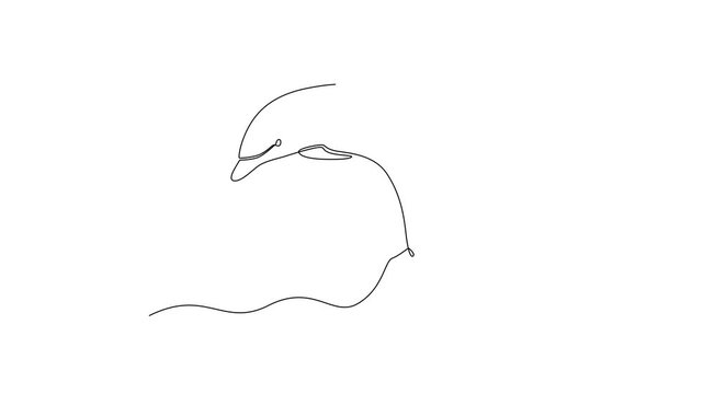 Dolphin Leaping From Sea. Sea Animals Concept. Single line draw design Video 4k. Footage graphic illustration