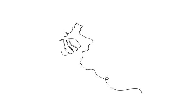Jellyfish Floating Gracefully. Sea Animals Concept. Single line draw design Video 4k. Footage graphic illustration