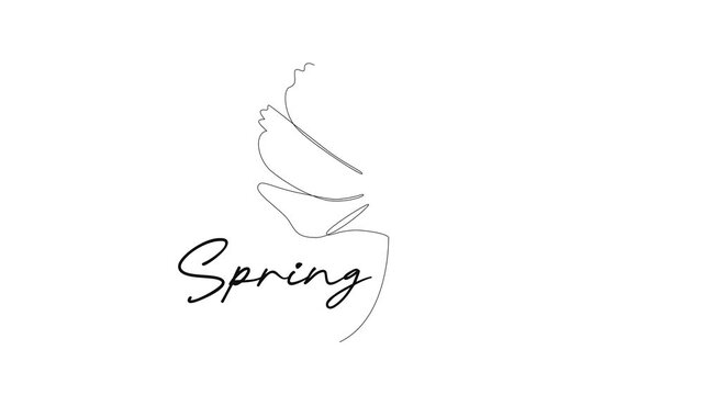 Spring Flower Line Illustration. Springs Concept. Single line draw design Video 4k. Footage graphic illustration