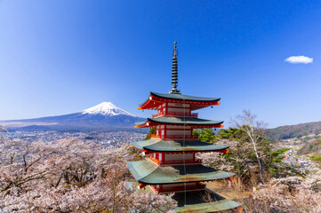 富士山と満開の桜・新倉山浅間公園