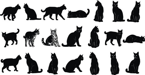 Set of cat and wild feline silhouettes, domestic pet and lynx bobcat vector illustrations collection, standing sitting walking poses isolated on white background. © Sagar Creative