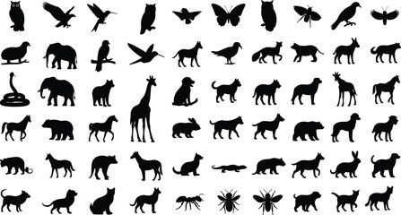 Big set of animal silhouettes, wild mammal bird insect vector icons collection, zoo nature design elements, black figures isolated on white background.