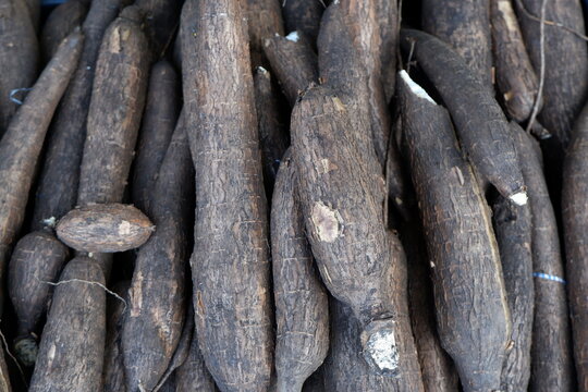 close-up view of local tapioca