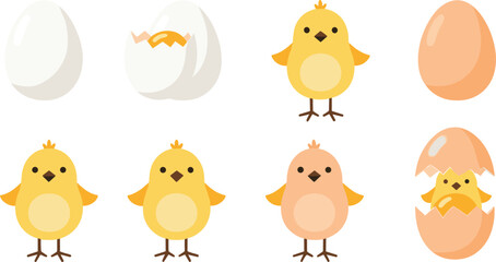 Fototapeta premium Vector illustration set of cute yellow chicks, white and brown eggs, cracked egg with yolk, and a newborn chick hatching isolated on white background