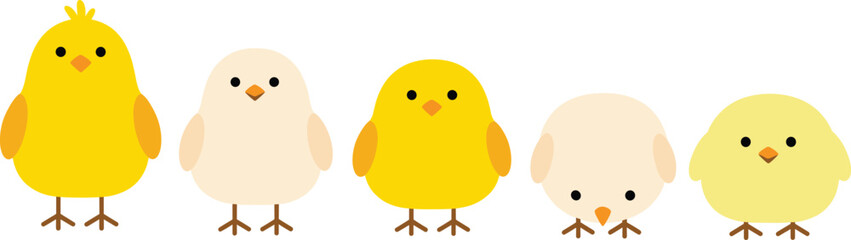 Vector illustration set of cute baby chicks in various yellow and cream colors featuring different standing poses isolated on white background.